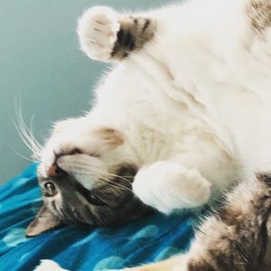 Meet your Posher, Ben